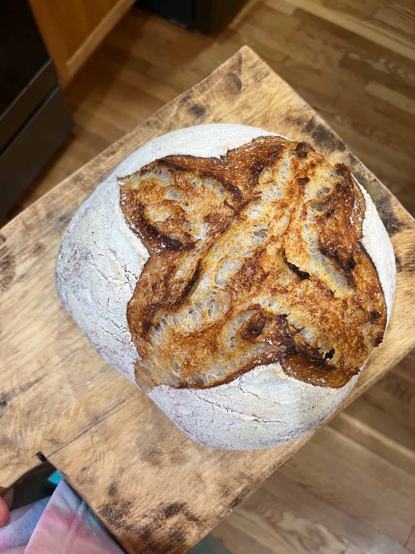 Original Sourdough Boule